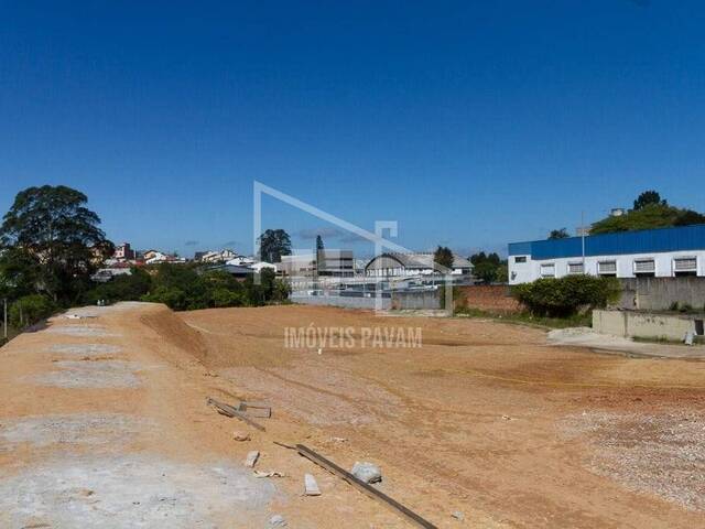 #653 - Terreno para Locação em São Bernardo do Campo - SP - 2