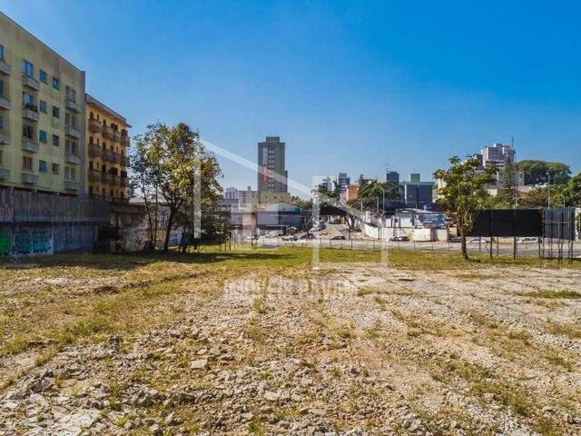 #654 - Terreno para Locação em São Bernardo do Campo - SP - 3