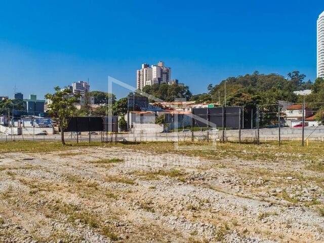 #654 - Terreno para Locação em São Bernardo do Campo - SP - 1