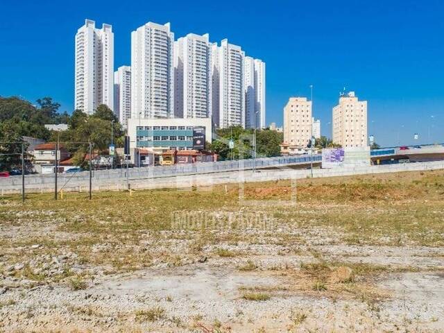 #654 - Terreno para Locação em São Bernardo do Campo - SP - 2