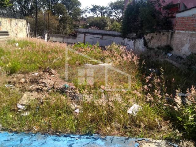 #770 - Terreno para Venda em São Bernardo do Campo - SP - 3